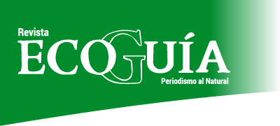 Logotipo de Revista Ecoguía
